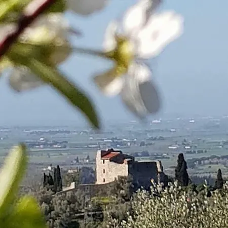 La Casina Di Nene Fra Mare E Terme Apartmán *