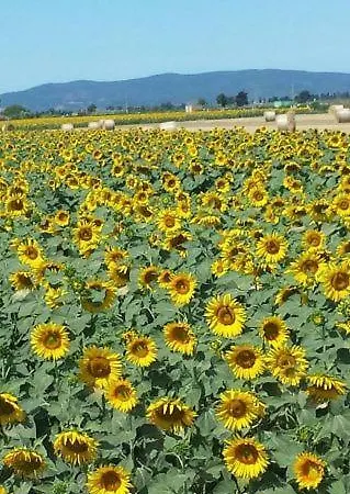 La Casina Di Nene Fra Mare E Terme Suvereto