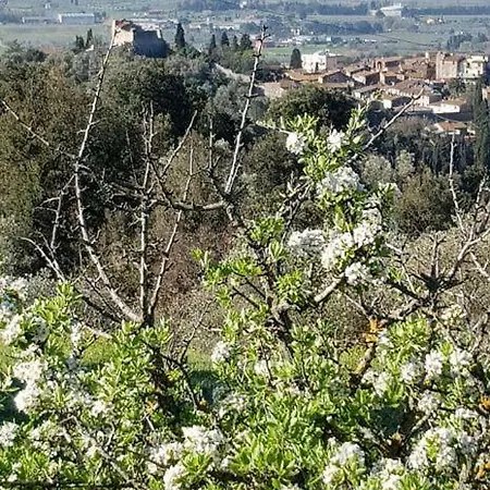 Apartmán La Casina Di Nene Fra Mare E Terme Suvereto